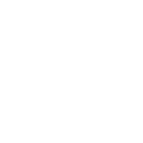 1001 Engines & Transmissions